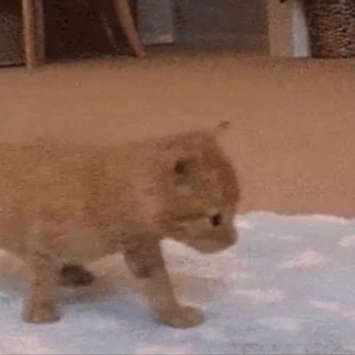 i know she wants to break me (feat. 4agle) - Single