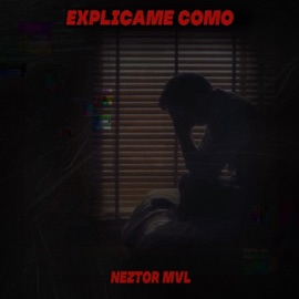 Explícame Como Neztor MVL