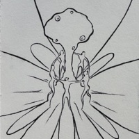 ONDA DE CALOR 3 - EP - Dj Fucci