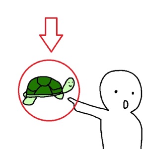 look! a turtle.. nevermind. - Single