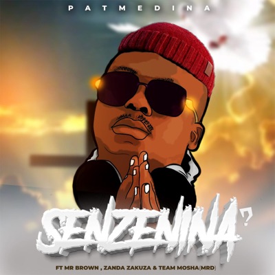 Senzenina? (feat. Mr Brown & Zanda Zakuza & Team Mosha) - Single