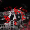 X AMOR