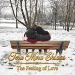 Tera Mera Ehsaas - The Feeling of Love - EP