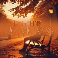 Te echaré de menos - Single - Nando Esteban