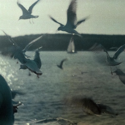 where to go - Single