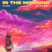 In the Morning (Remixes) - EP artwork