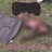 Genital Junkie (feat. Bloat)
