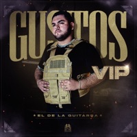 Gustos VIP - Single - El de La Guitarra