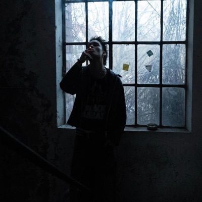 Frau im M0nd (feat. LMG & Everestdidthis) - Single