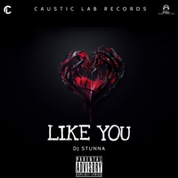 Like You (Groovy) - Single - Dj Stunna TT