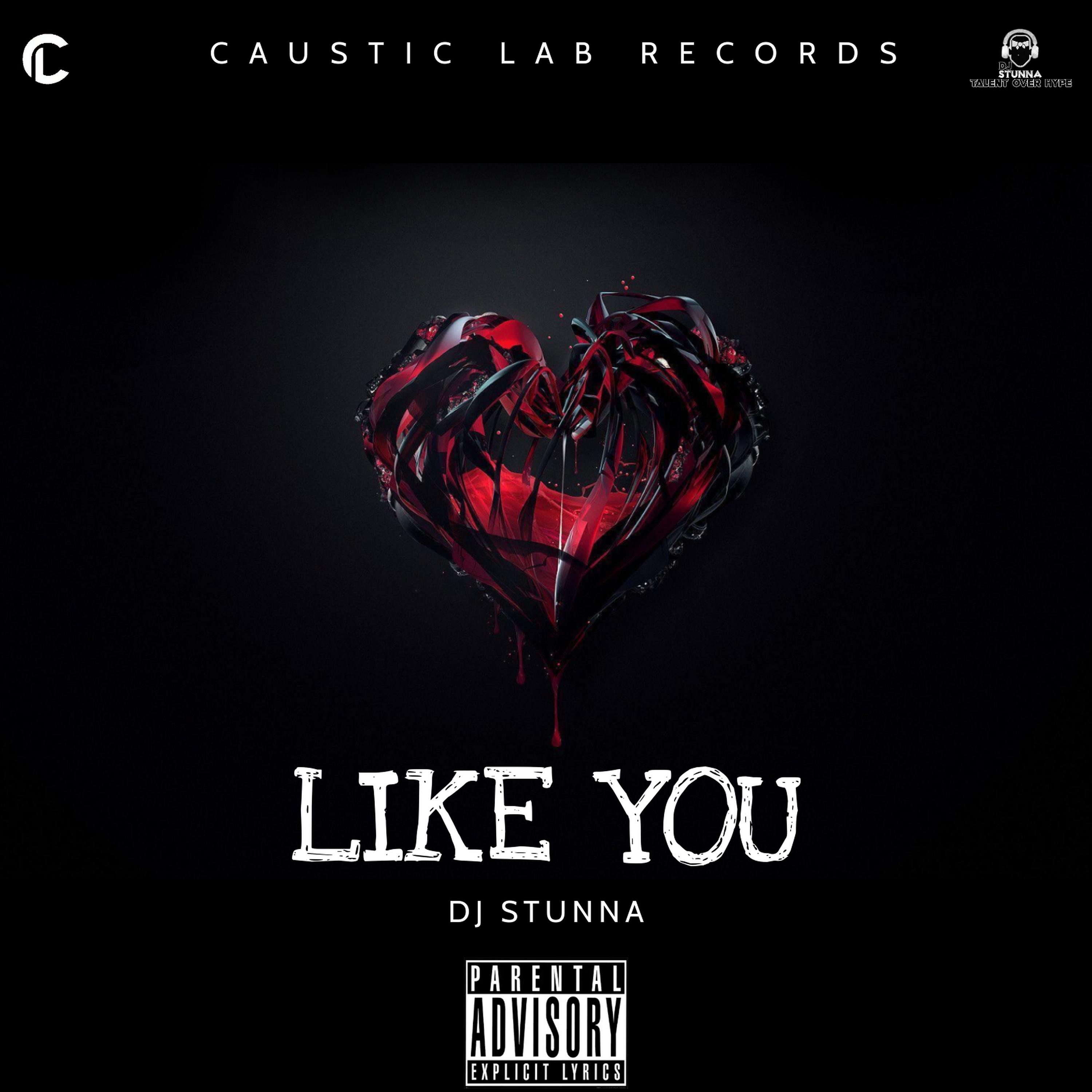 Like You (Groovy) - Single by Dj Stunna TT album cover