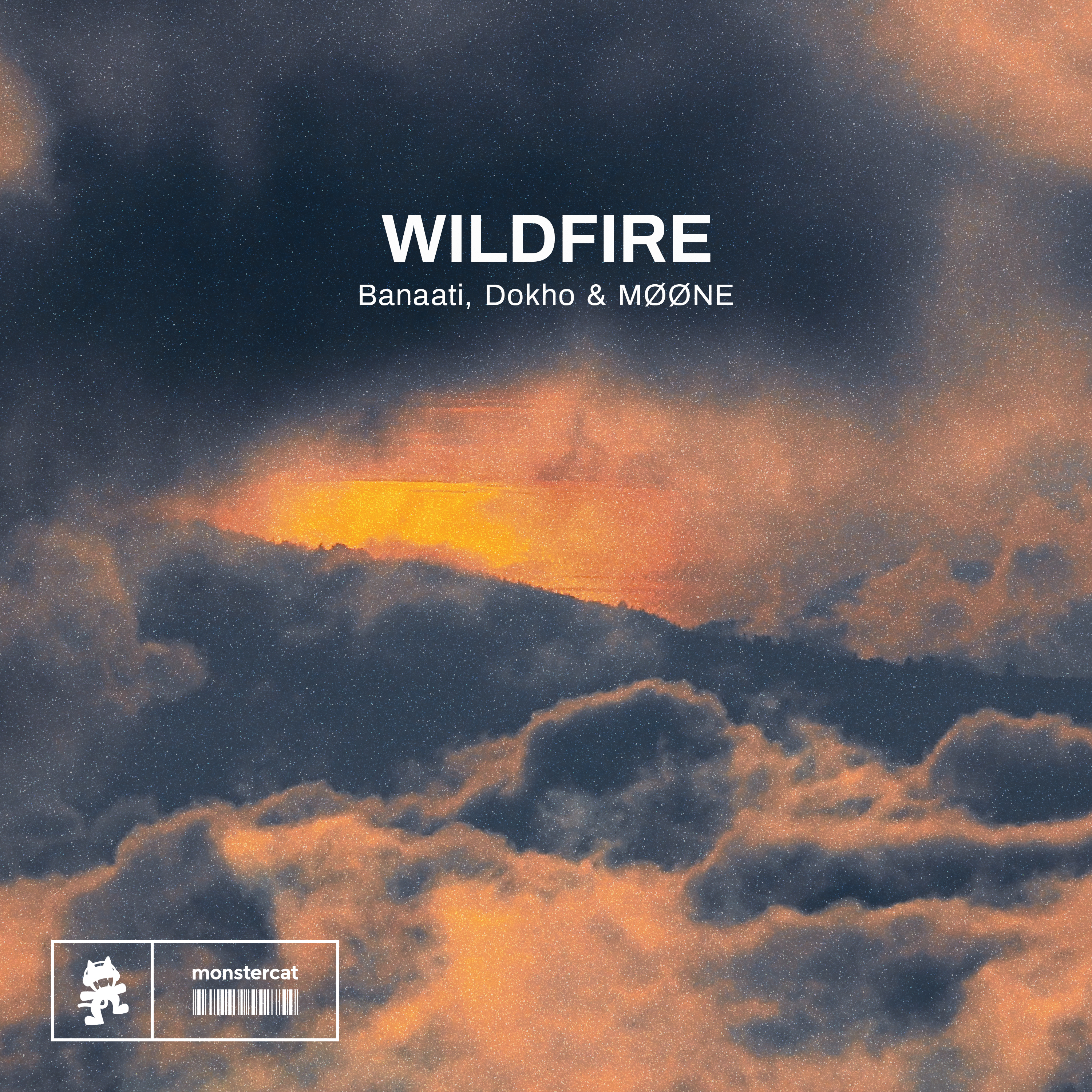 Wildfire - Single