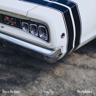 Stay Fly - Single