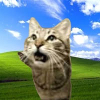 Windows XP Installation Music (meowsynth remix) - Single - BlueFox21