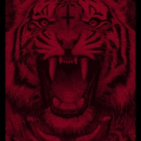 ESTO DEBE DE PARAR - Single - Garage Tiger