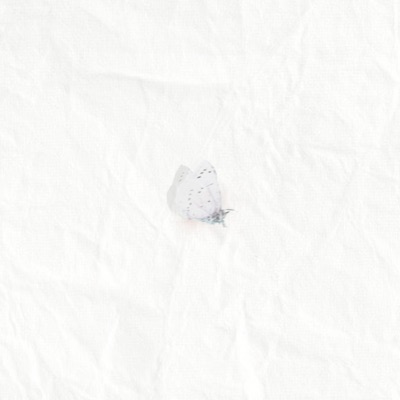 the best feelings in the world - Single