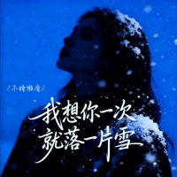 我想你一次就落一片雪 - Single - 不睡懒觉