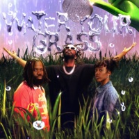 Water Your Grass - Single - Kennedy Ryon, Juicy J & Swanky