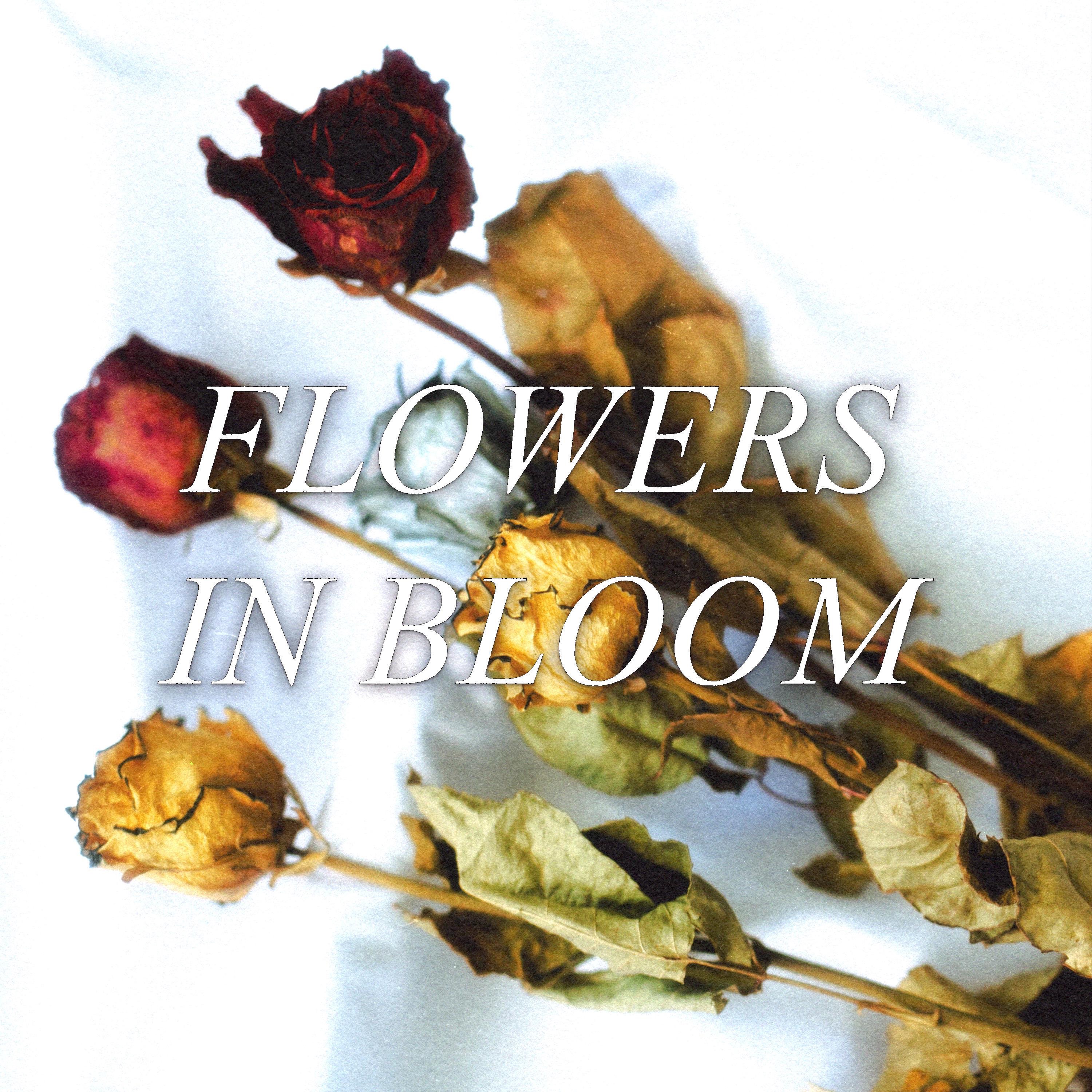 Flowers in Bloom - Single