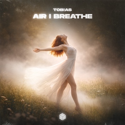 Air I Breathe - Single