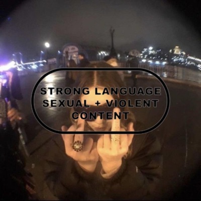 ok i got it (feat. victor meta) - Single