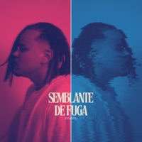 Semblante de Fuga - Single - VINEDU