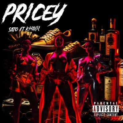 Pricey (feat. Khalil) - Single