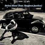 Drive Slow - Single