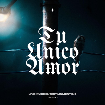 Tu único amor (feat. Maudy & Gency) - Single