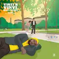 Visti's Vinyl Collective