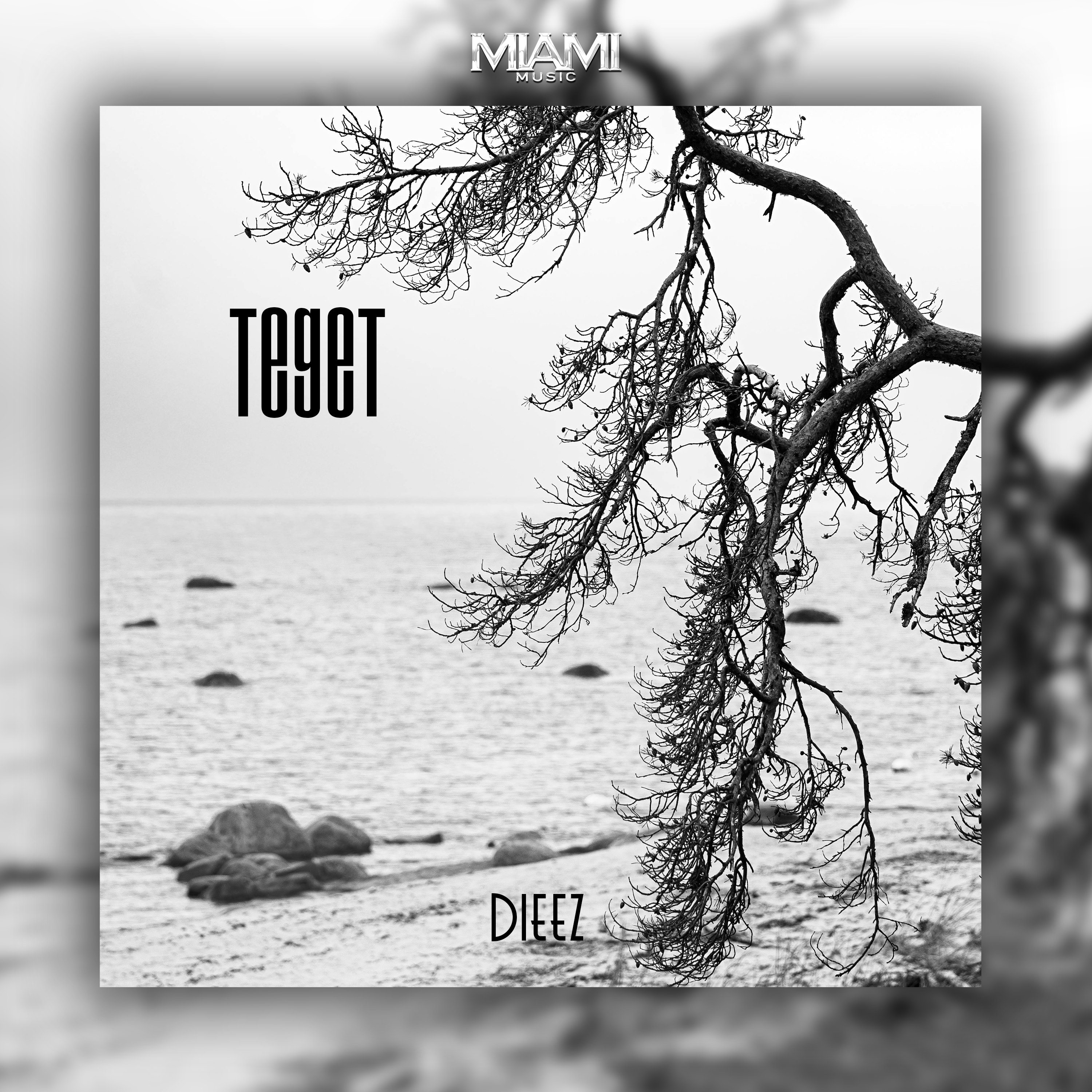 Teget - Single