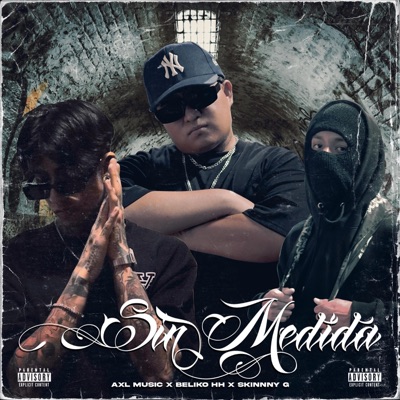 Sin Medida (feat. Beliko HH & Skinnny G) - Single