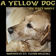 A Yellow Dog (Unabridged) - Bret Harte