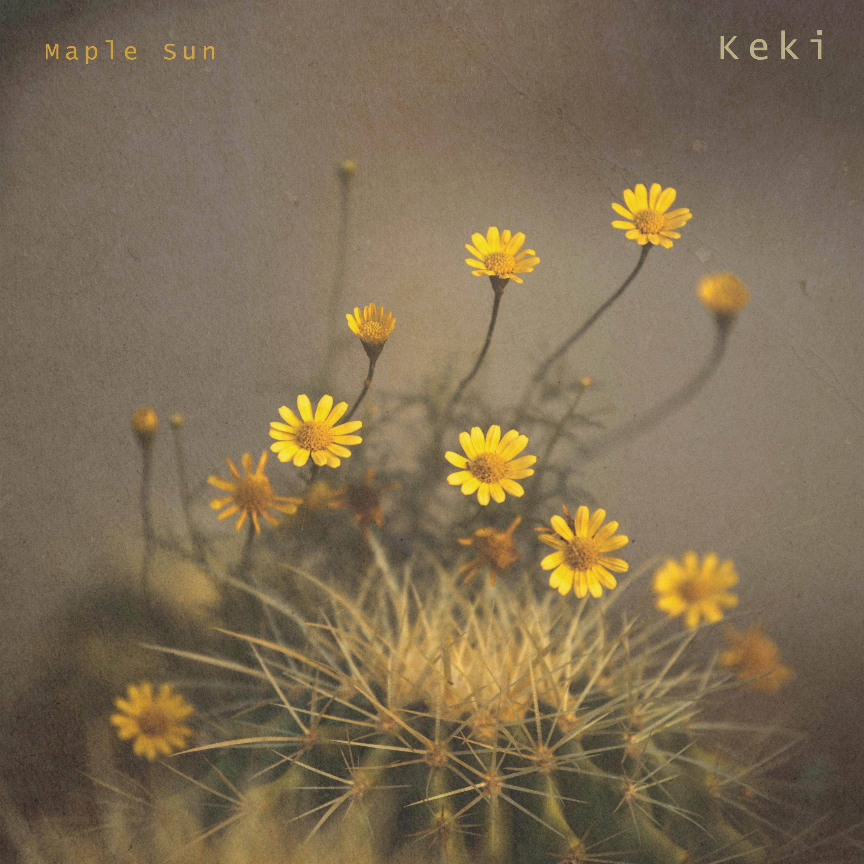 Keki - Single
