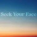 Seek Your Face