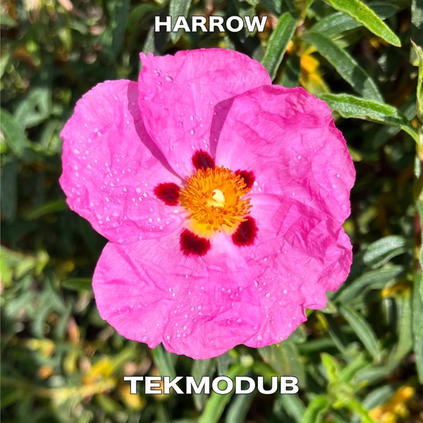 TekMoDub - EP