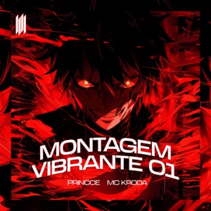 MONTAGEM VIBRANTE 01