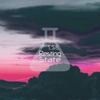 Resting State - Single - Sleep Lab