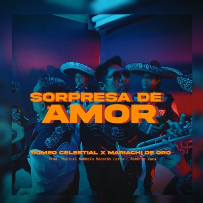 Sorpresa de Amor (feat. Romeo Celestial, Mariachi de Oro & Roberto Vaca) - Single