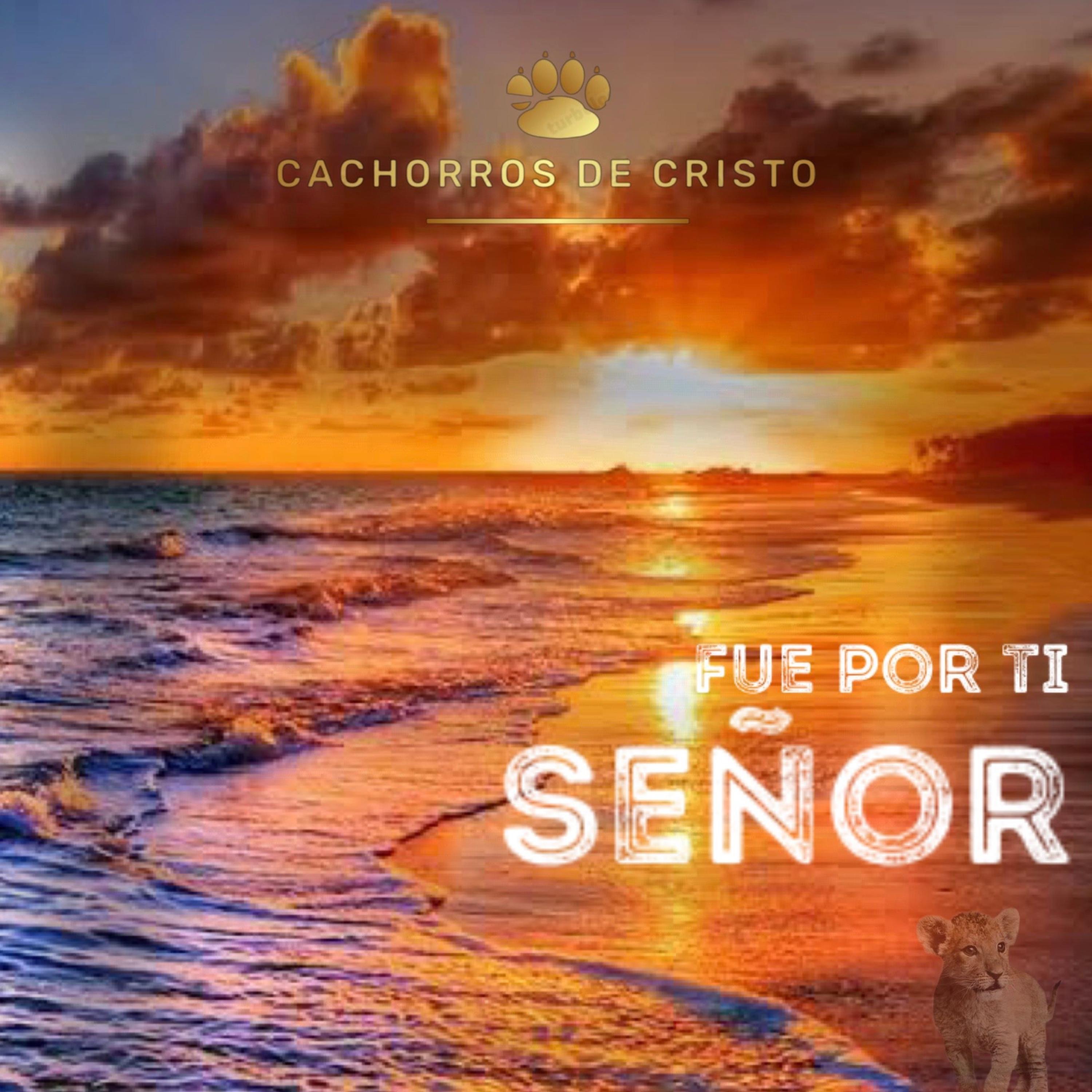 Fue por ti Señor - Single