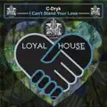 Dryk
