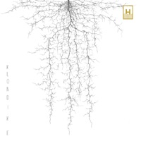 Klondike (feat. Francesco Ponticelli & Andrea Beninati) - Francesco Fiorenzani