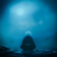 goodbye - Single - Branwen