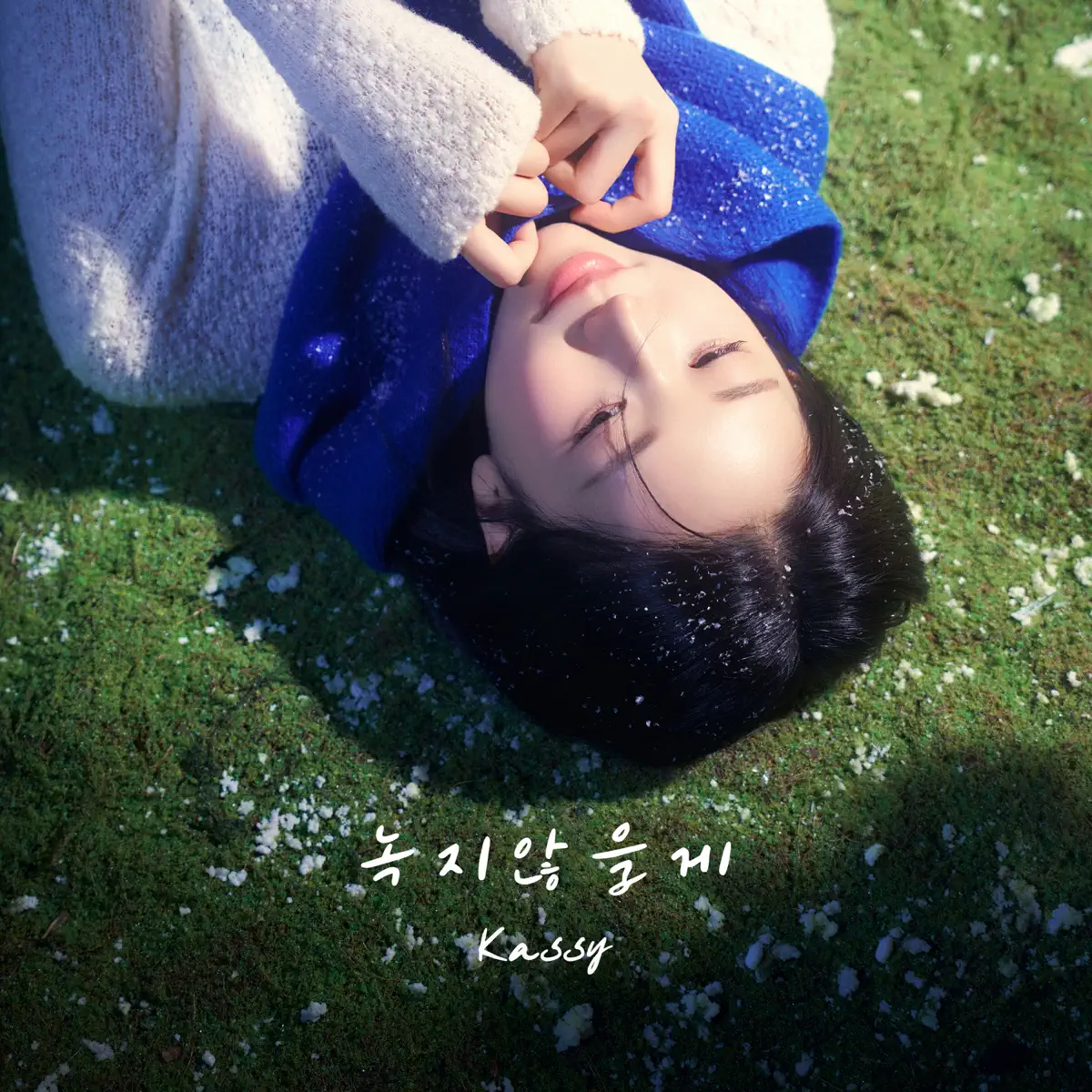 Kassy - Never Melt Away - Single (2024) [iTunes Plus AAC M4A]-新房子