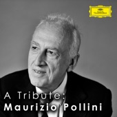 A Tribute: Maurizio Pollini artwork