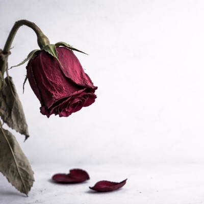 lo q quedaba - Single