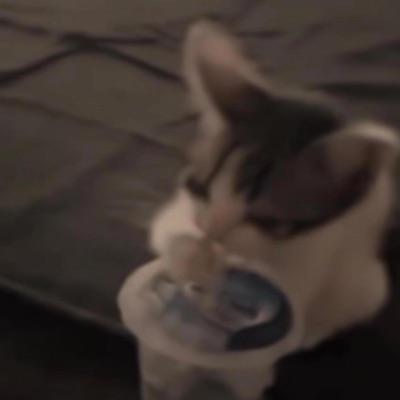 When I'm In Town?(2022) (feat. Mdot) - Single