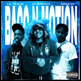 Bacc N Motion (feat. Breese & Lil Sheik) Ja Banga