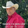 Sin Oir Tu Voz
