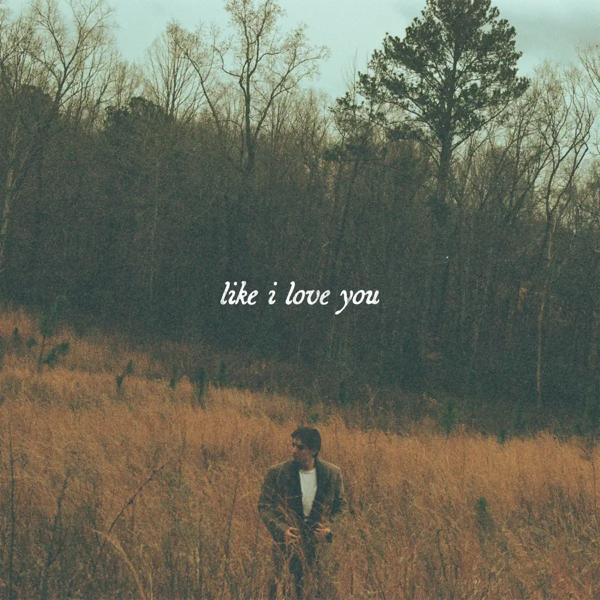 Ryley Tate Wilson - like i love you - Single (2024) [iTunes Plus AAC M4A]-新房子